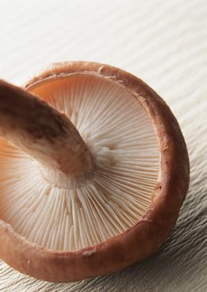 オリジナルの調味料開発をする方法